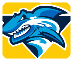 保驾车险安卓版2024版