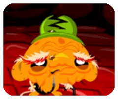 本鄉本土安卓版安装最新版2024