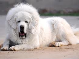 0洛热计量管家APP2024最新下载无广告版本