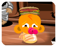 坚果控安卓版2024最新版正版