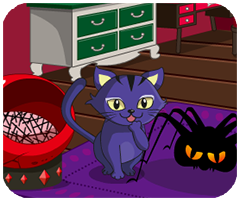 新闪存云安卓版安卓版