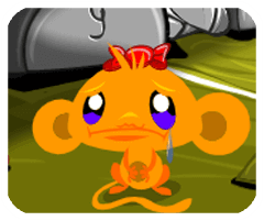 拾时相册安卓版更新版本