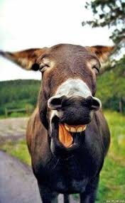 仙桃家装安卓版下载免费无实名认证无广告