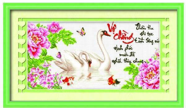 乐橙小金安卓版免费下载