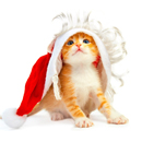 彩铃听吧安卓版官方正版