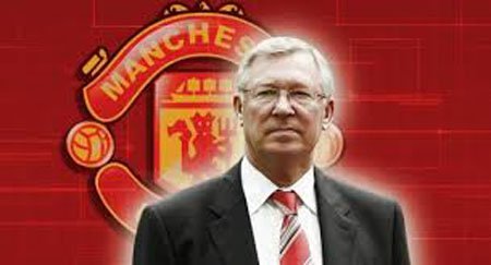 好食期安卓版下载免费安装新版本