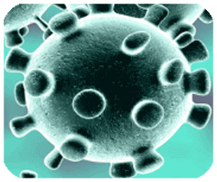 面对面秒传软件最新版app