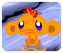 撤回查看器安卓版2024最新下载无广告版本