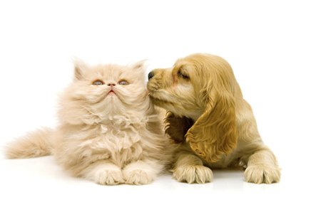 素颜美颜自拍APP正版